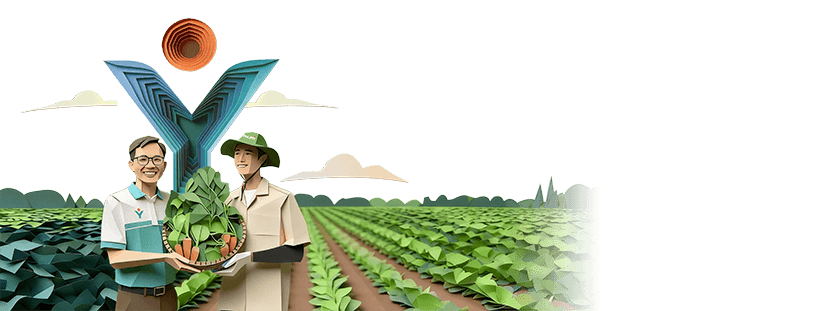 Báo cáo tài chính
