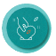 icon-principles.png