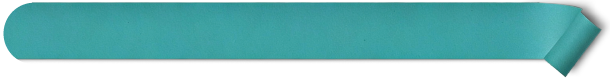 Summary Box
