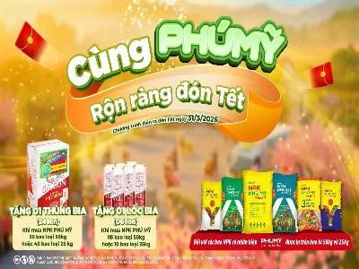 Cùng Phú Mỹ - Rộn ràng đón tết