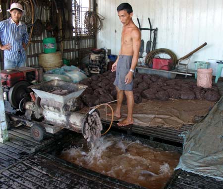 Tìm đầu ra cho nông sản đồng bằng sông Cửu Long