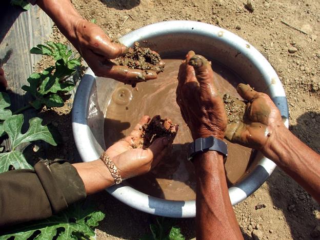 Wiping out “hoe and shovel-made-fertilizers”