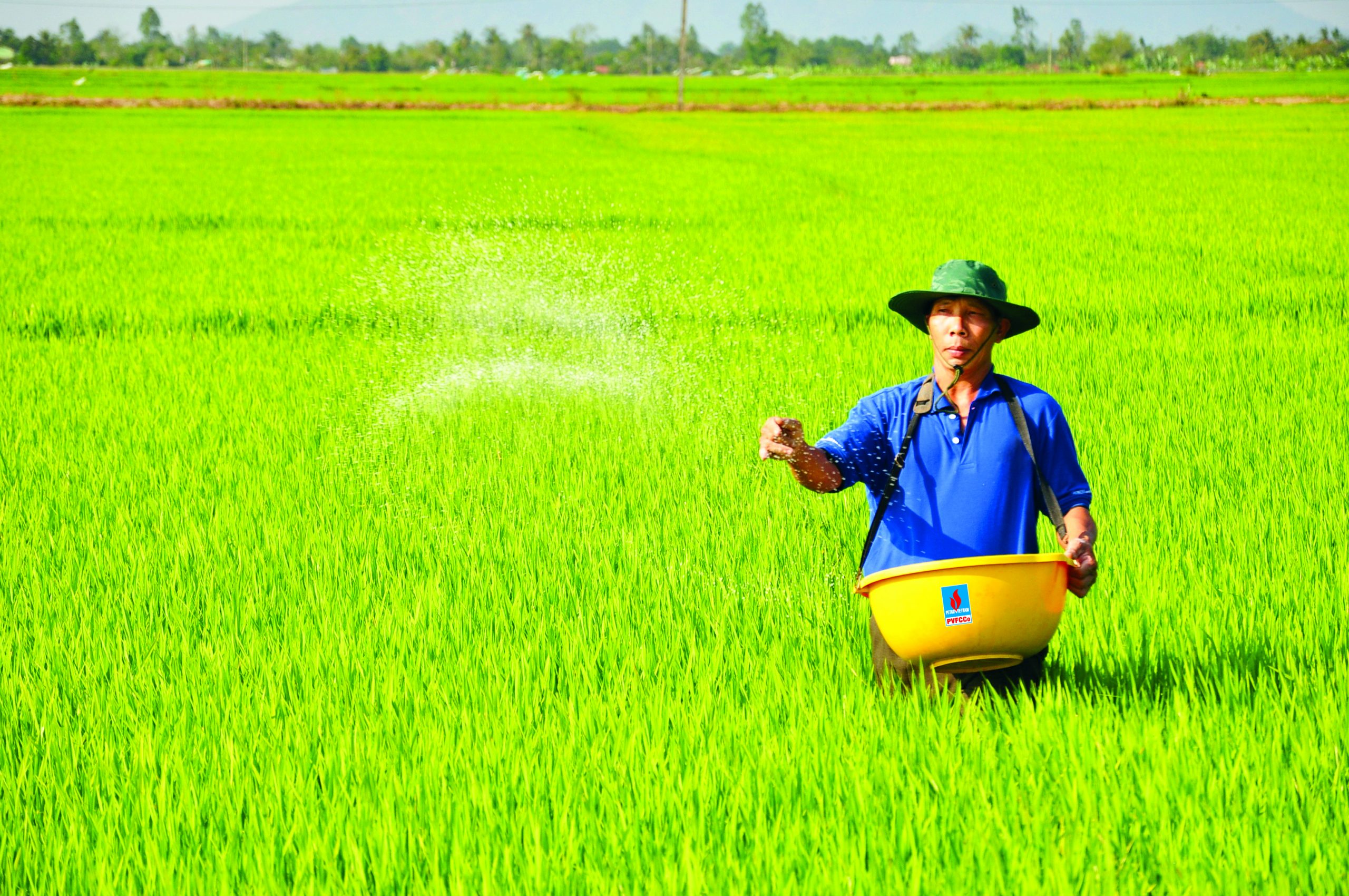 Bộ Công Thương: Điều chỉnh thuế giá trị gia tăng cho phân bón là cần thiết