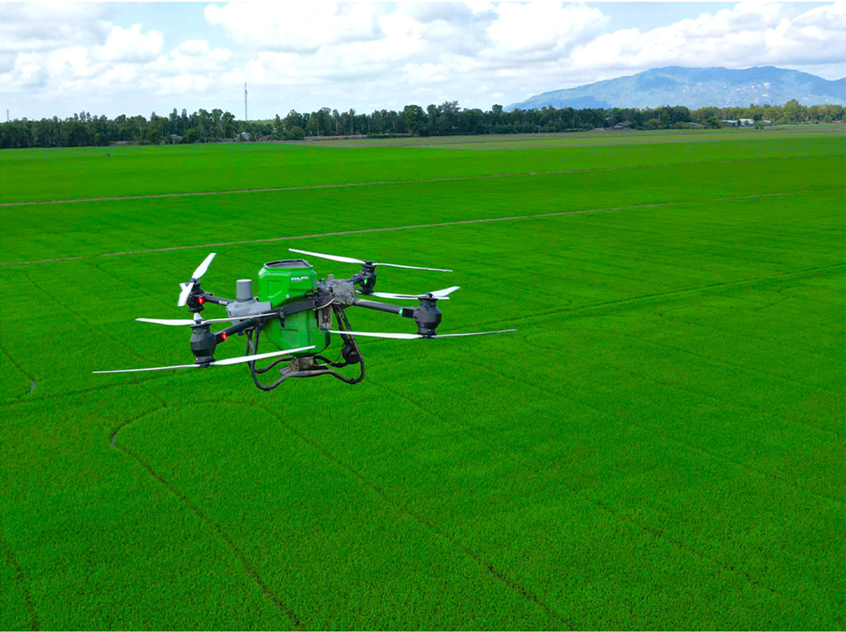 Bón Phân Phú Mỹ bằng Drone - Giải pháp tiết kiệm, an tâm cho mùa bội thu