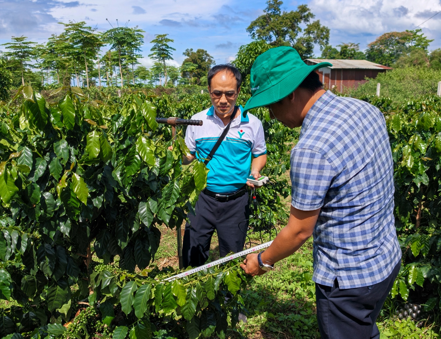 PVFCCo - Phú Mỹ Strengthens Agricultural Development Cooperation in Laos