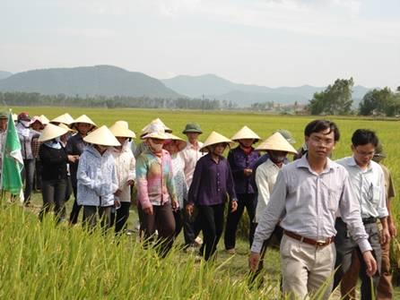 The workshop on summarizing the model to improve the efficiency of Phu My urea usage and introducing Phu My NPK products to farmers in Nghe An