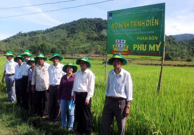 Bình Định: Đảm bảo nguồn cung phân bón chất lượng