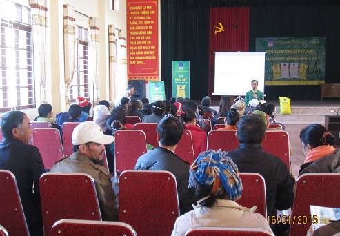 PFVCCo North organizes Workshops on Guidance of Phu My Fertilizer Usage for the Winter Spring crop in Red River Delta
