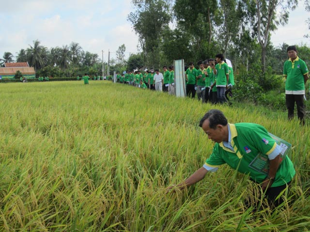 “Nhà Nông Tài Ba”: Cổ vũ xây dựng nông thôn mới tại ĐBSCL